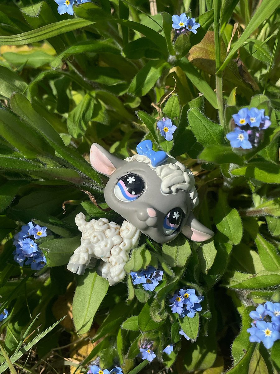 riverrcatt's tweet image. 🫐