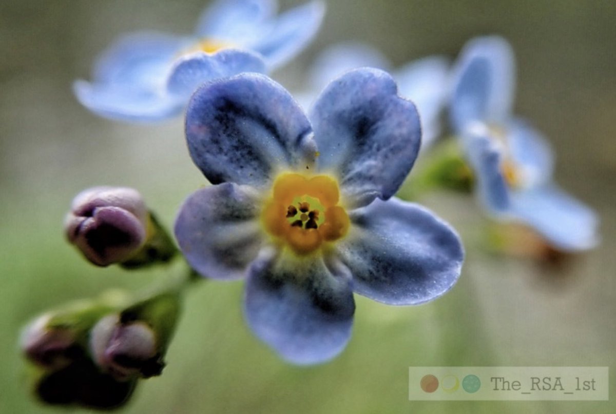 Sky* Ronald Stocker – Born in Ocean Falls B.C. tweet media