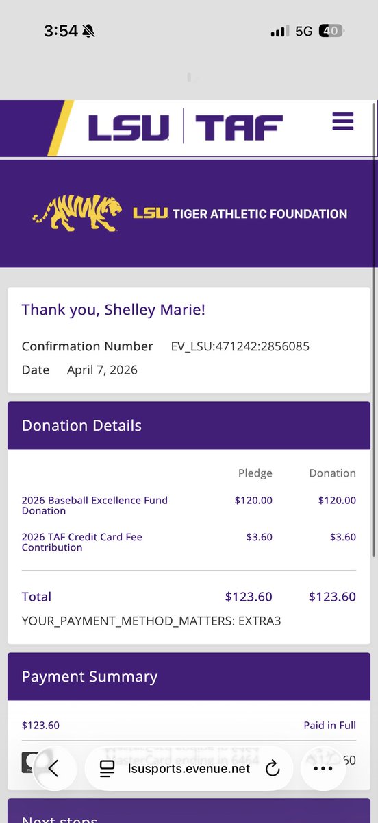 Shell Bell tweet media