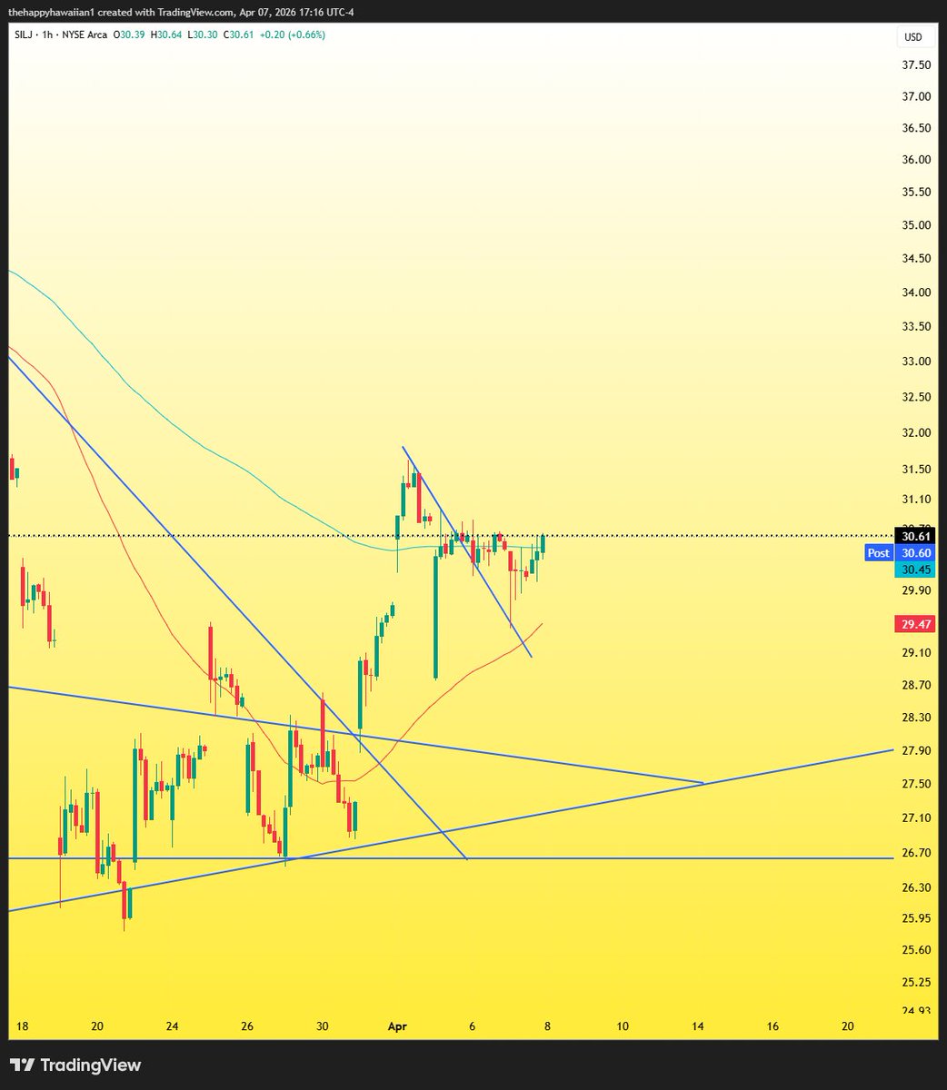 TheHappyHawaiian tweet media