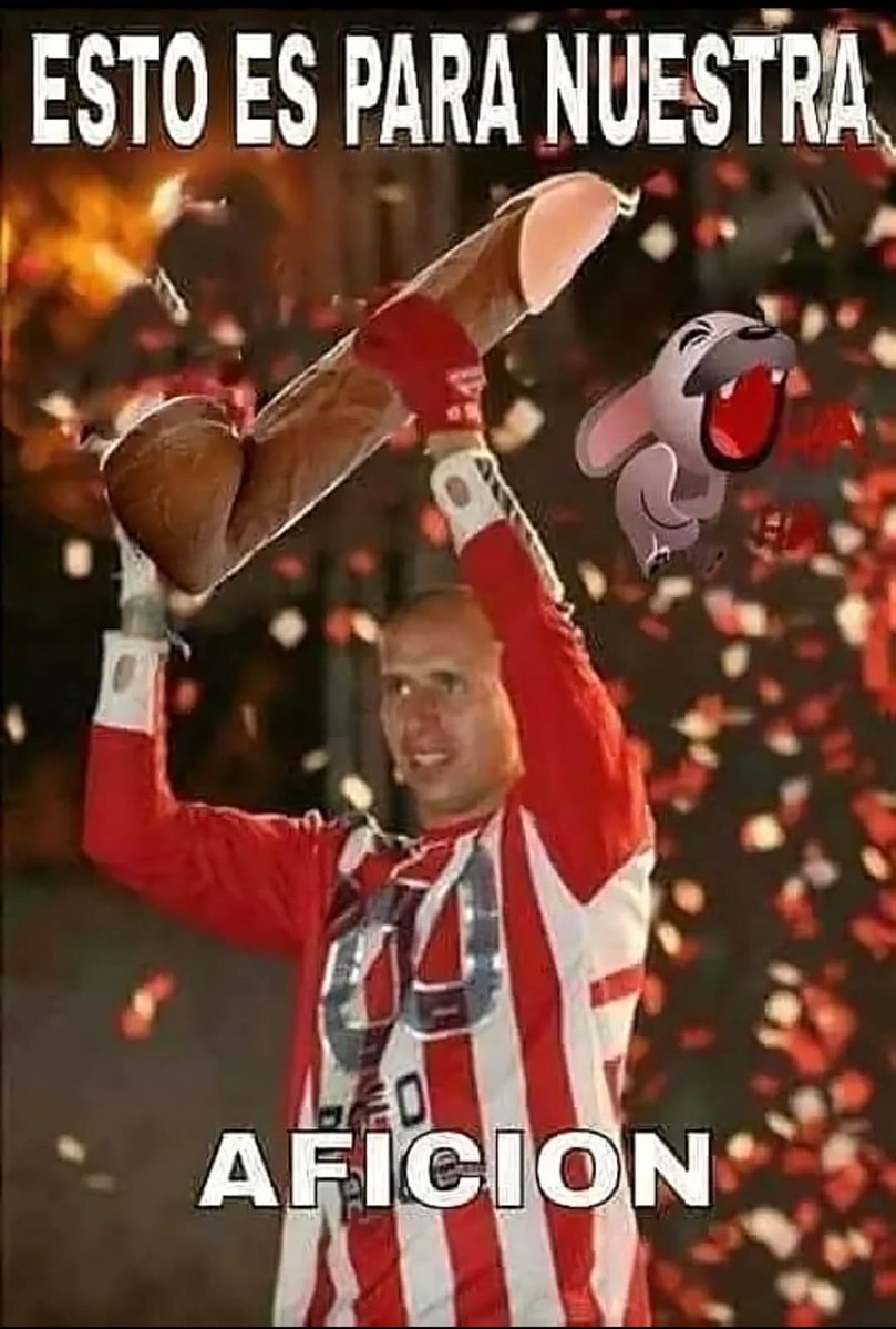 Mario Rodriguez tweet media