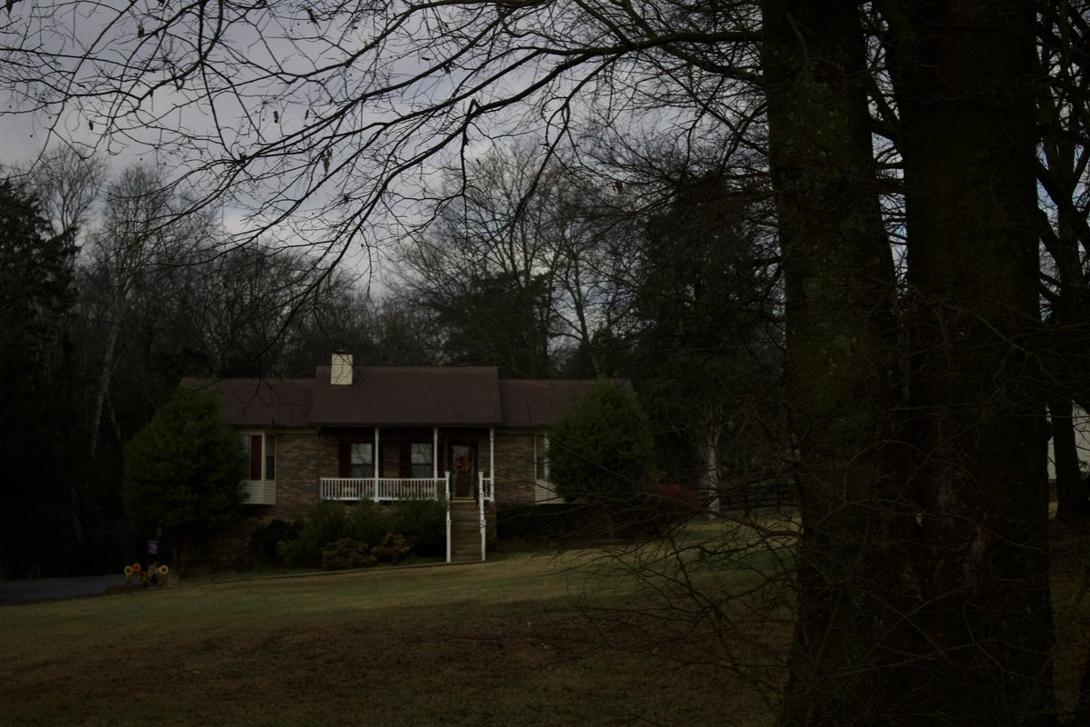 dreamland tweet media