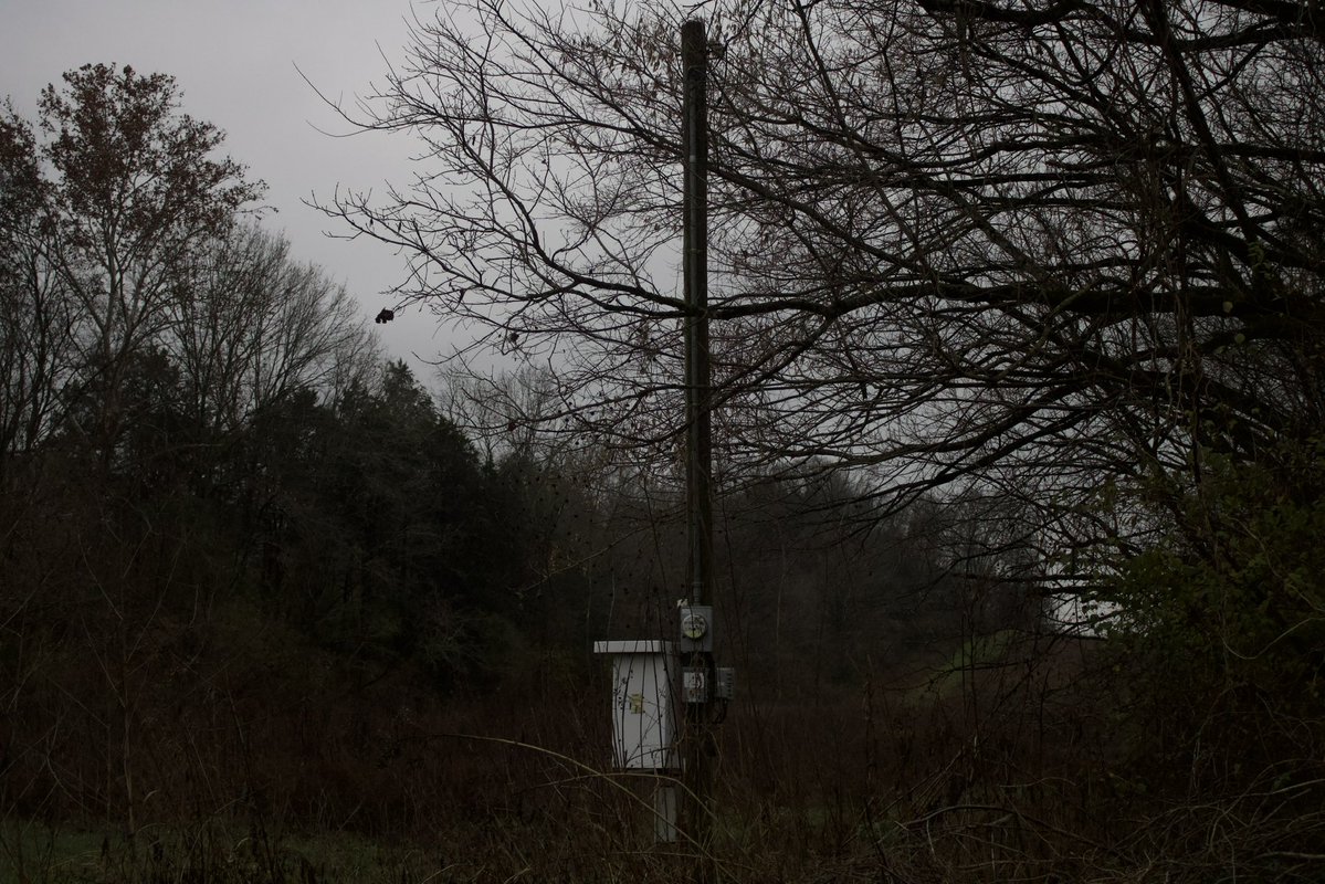 dreamland tweet media