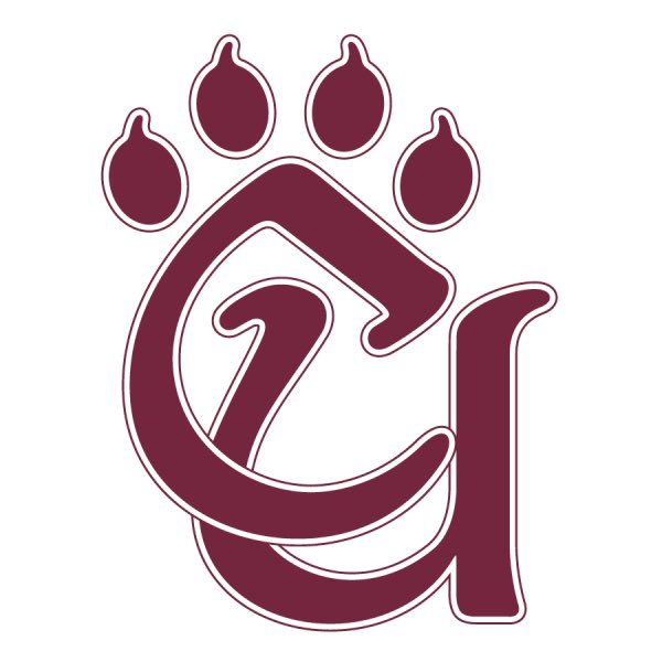 Dante Miceli tweet media