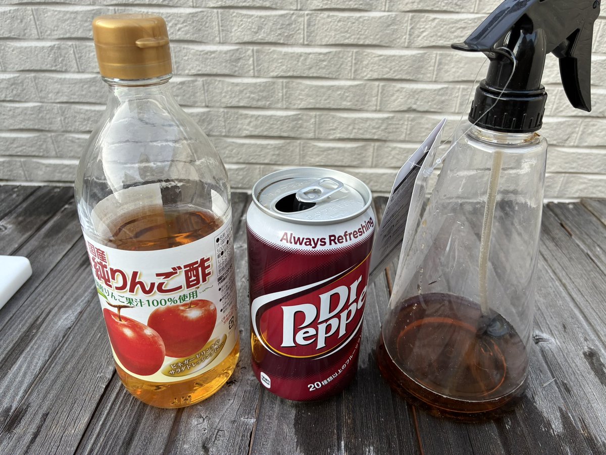 キャロル@Vtuber初心者🔰 tweet media