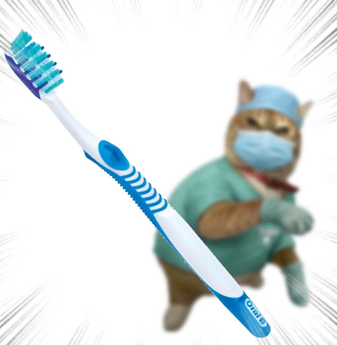 Throwing Things Daily tweet media