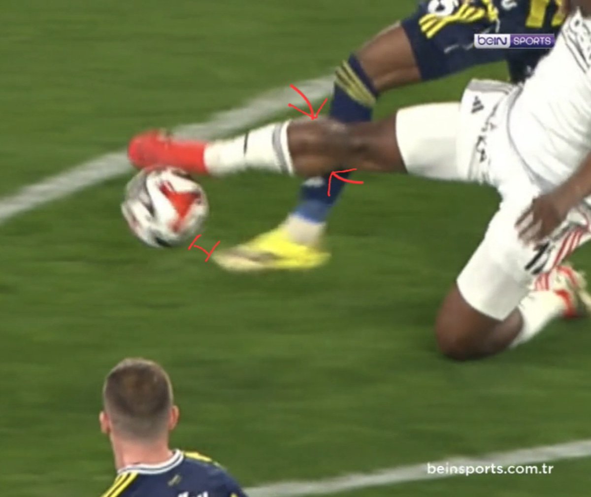 Sevgisaygi tweet media