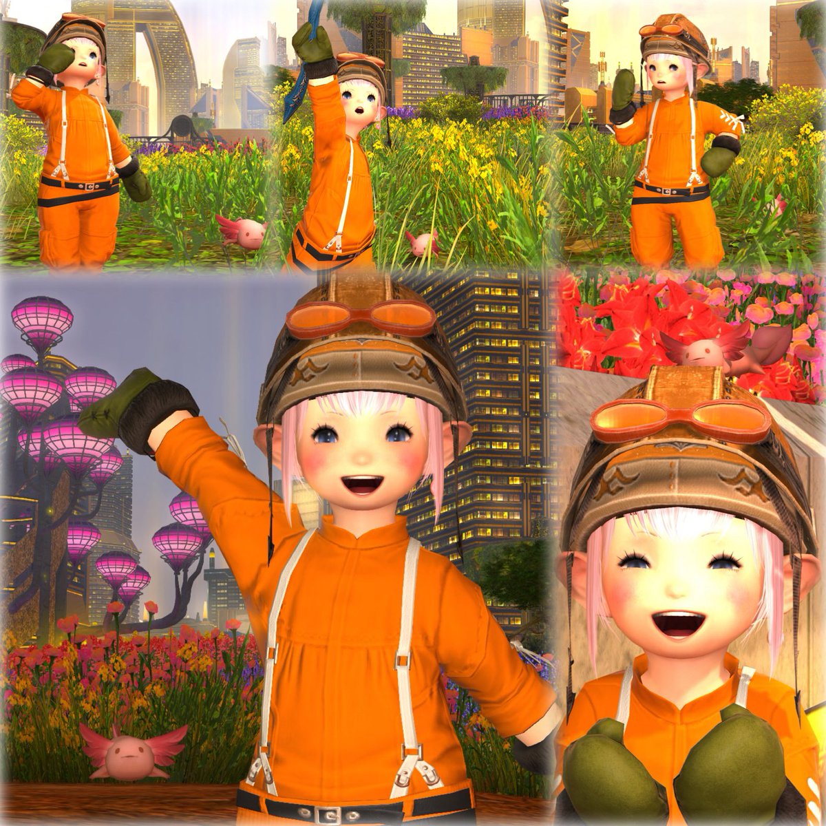 うぱ(ぱすてるフラワーEOTグループ・総監督) tweet media