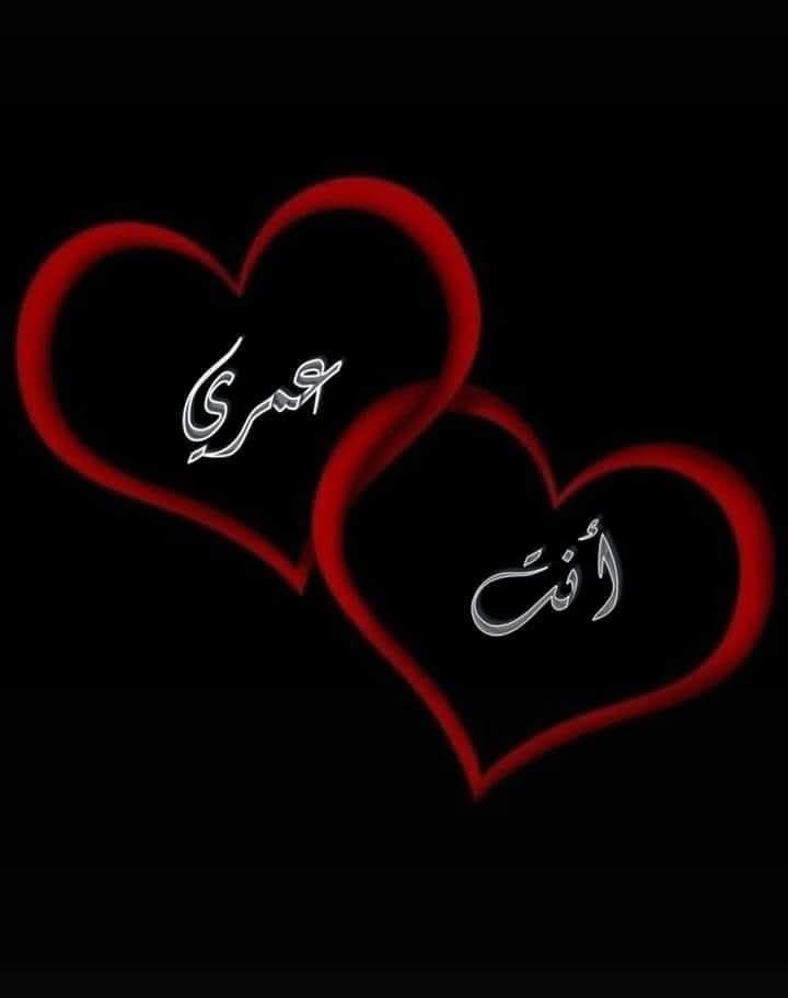 صـــافـــي الــــودَ🇾🇪🇸🇦 tweet media