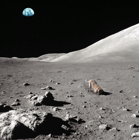 Paul Di Lorna Sattler tweet media