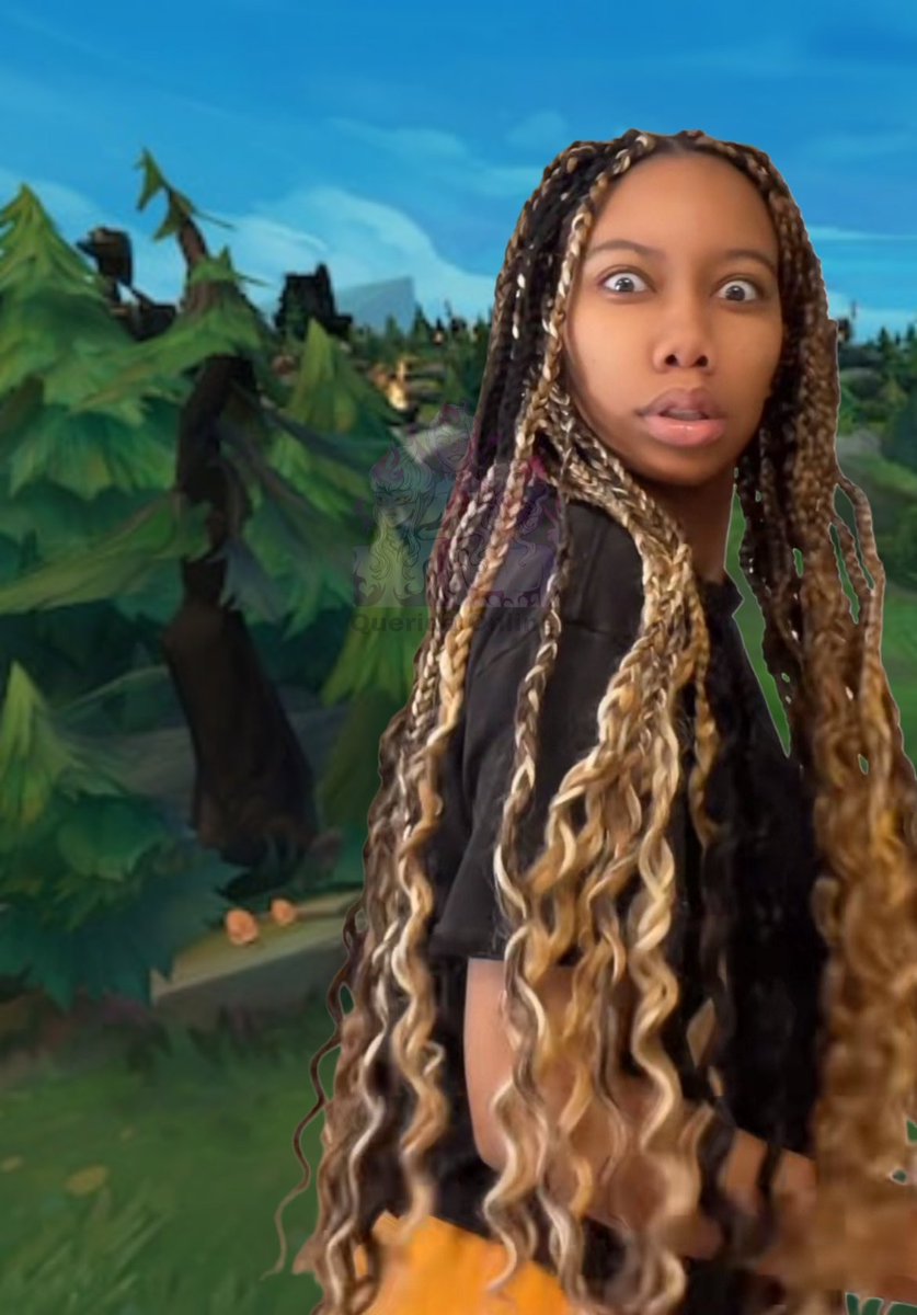 Querida Online tweet media