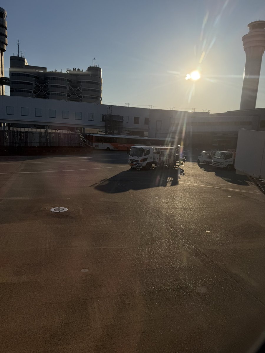 ひーな👑 tweet media