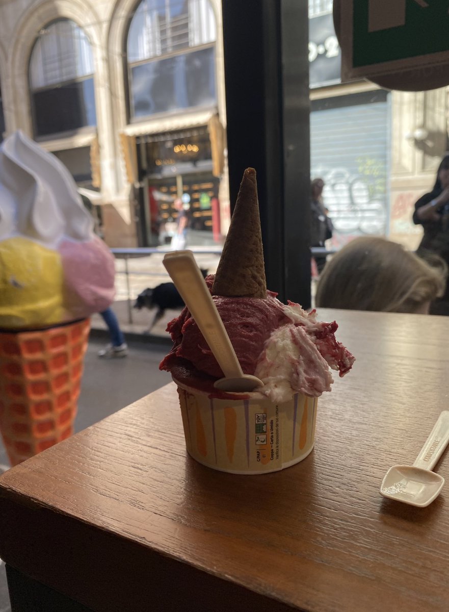 ccremeebrule's tweet photo. some gelato 🦩 https://t.co/rUOyMT9naL