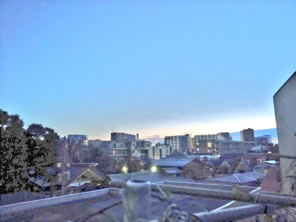 若林理市朗🇯🇵🌸🗻⛩️😺💪( ¨̮💪) tweet media