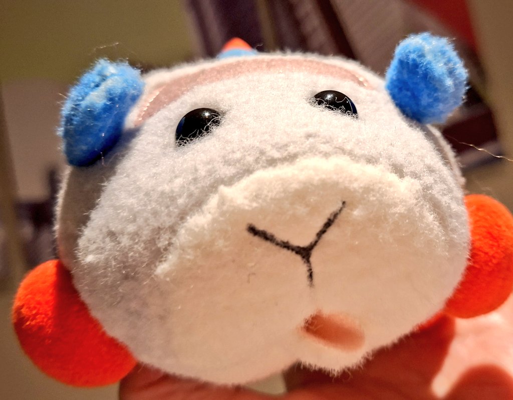 NApuipui tweet media