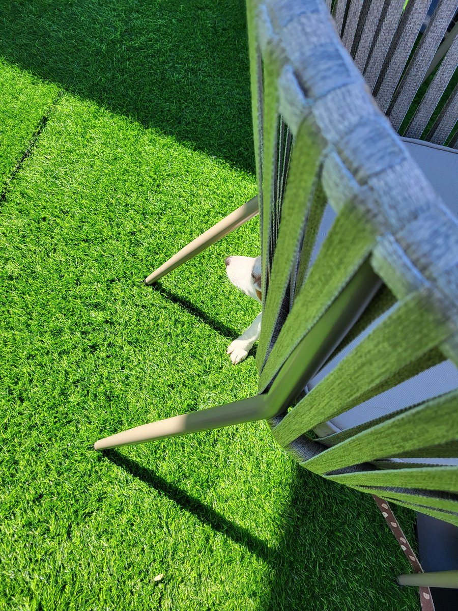 Plivajući Zamajac tweet media