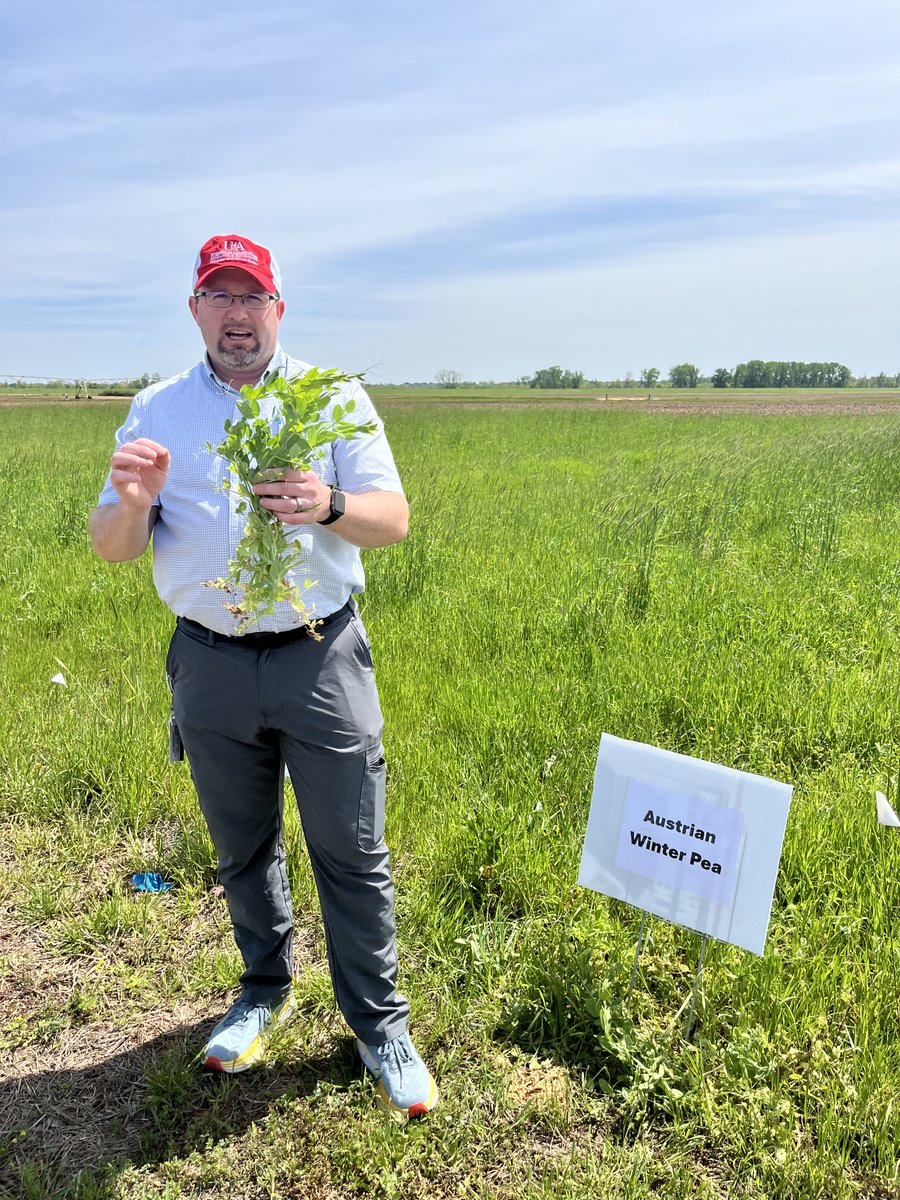 Arkansas Agricultural Experiment Station tweet media