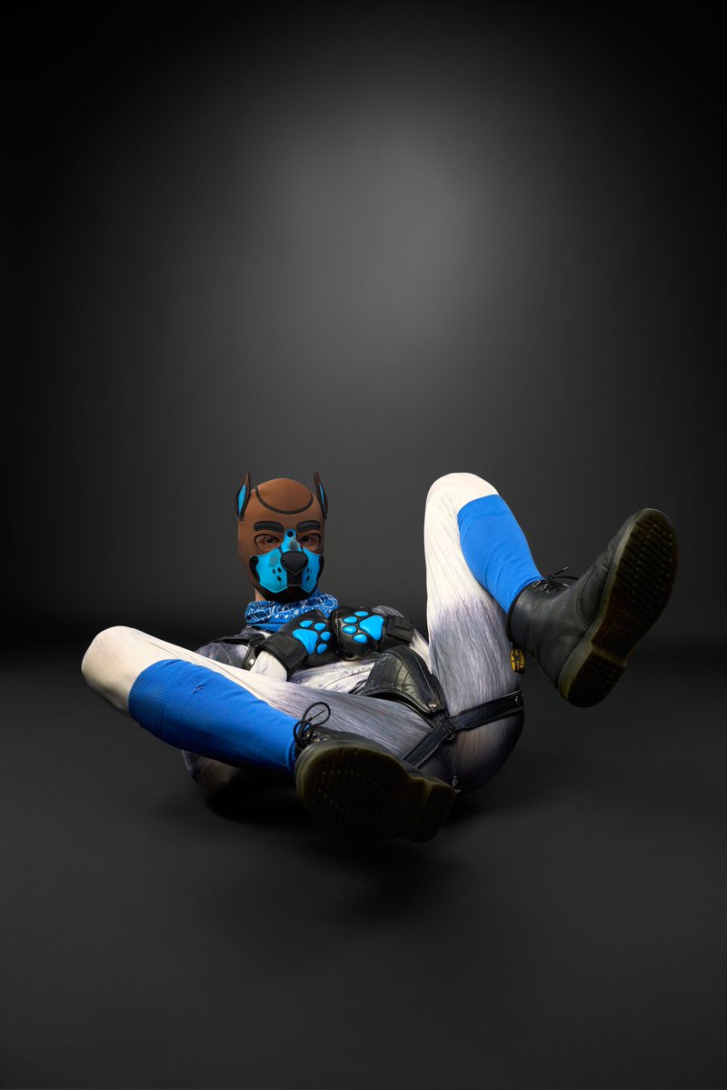 James Blond tweet media