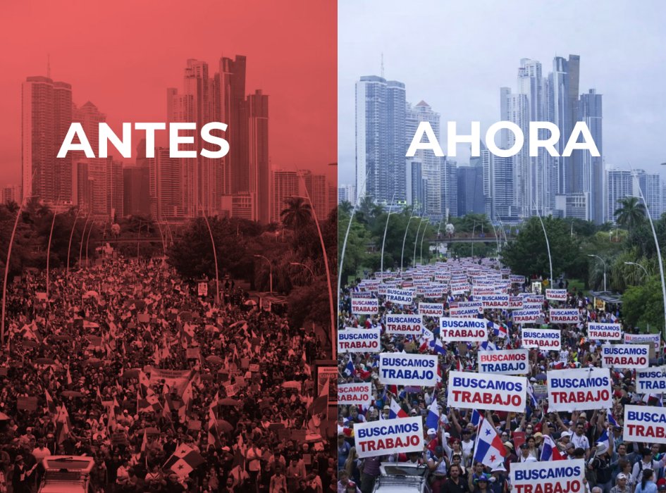 El Loro De Panamá Es Verde tweet media