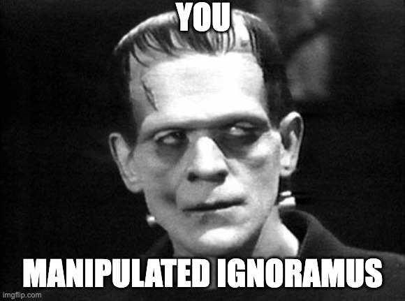 töte alle Nazis tweet media