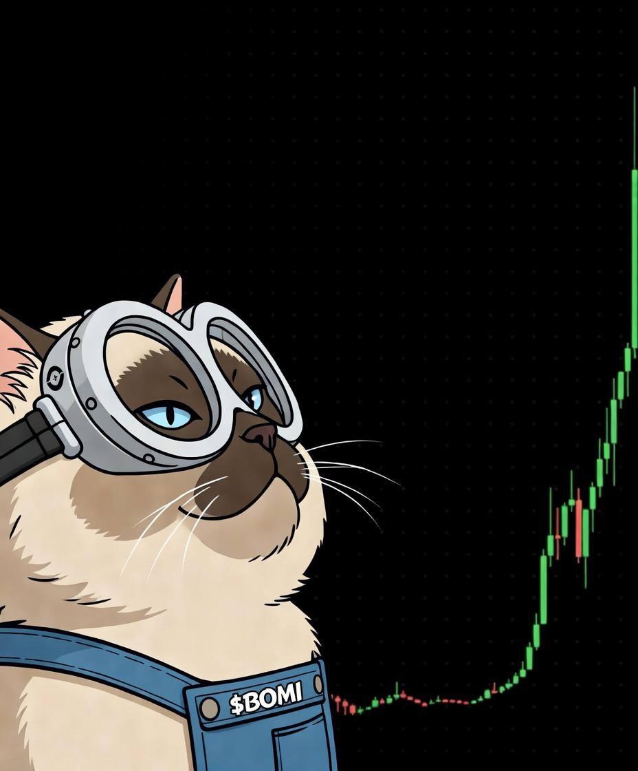 Kaymax tweet media