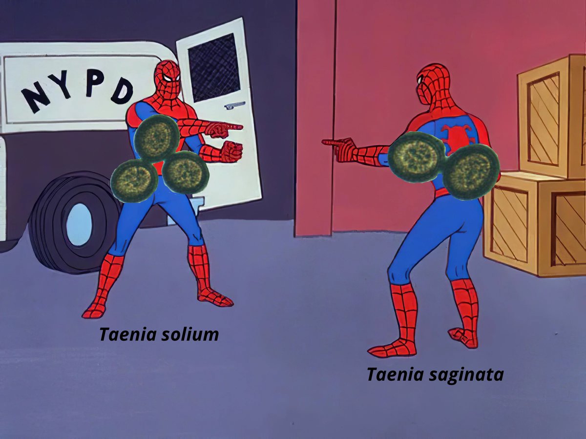 ORodriguezLima's tweet photo. Concurso de Memes Parasitológicos 2026
Curso de Microbiología y Parasitología
Facultad de Medicina, UNAM
Grupo: 2256
Autores: Morales Ramírez Mariana, Rico Huarota Ximena https://t.co/hE2uViBJlf