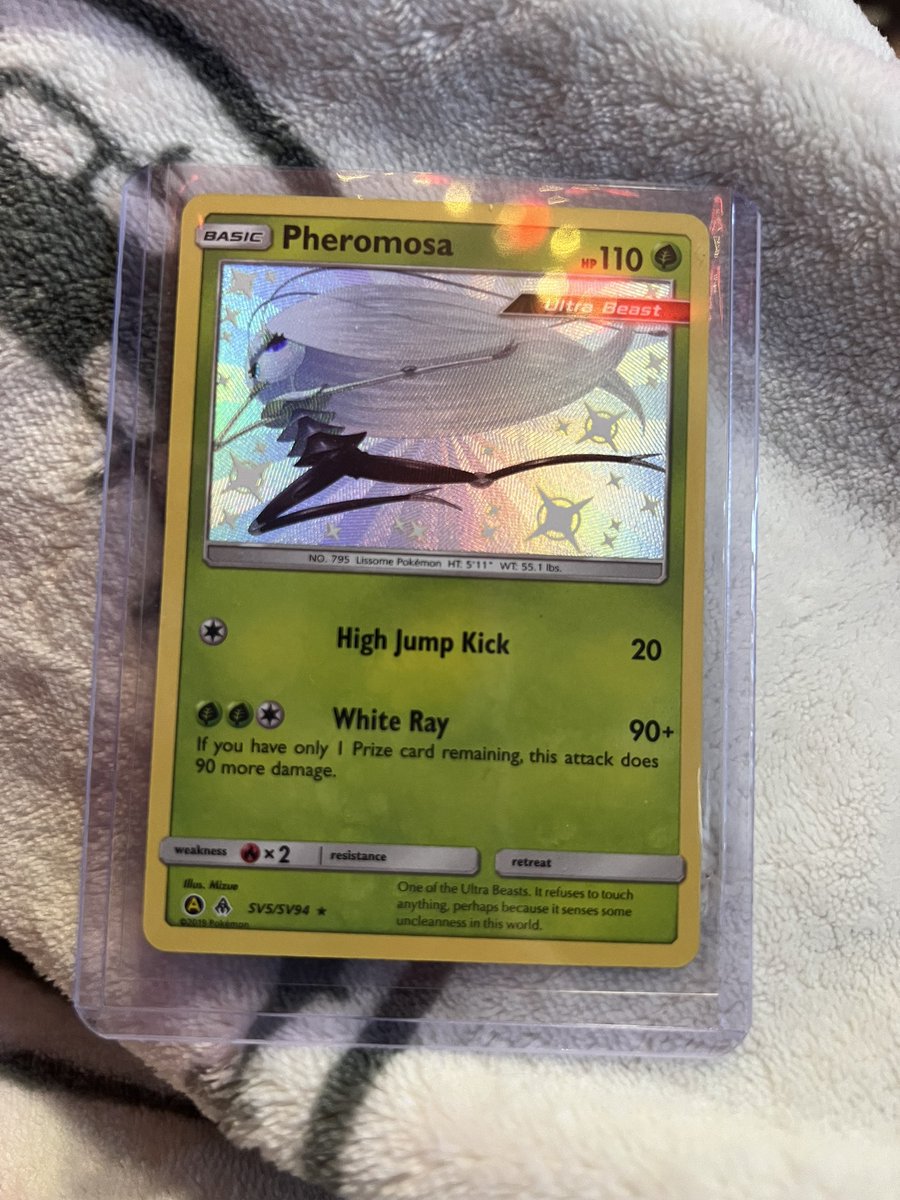 🦇𝕃𝕪𝕕𝕚𝕒 ⱄⰔ .• 𝔣𝔩𝔬𝔯𝔞𝔩 𝔤𝔥𝔬𝔲𝔩 •. Ⱄⱄ tweet media