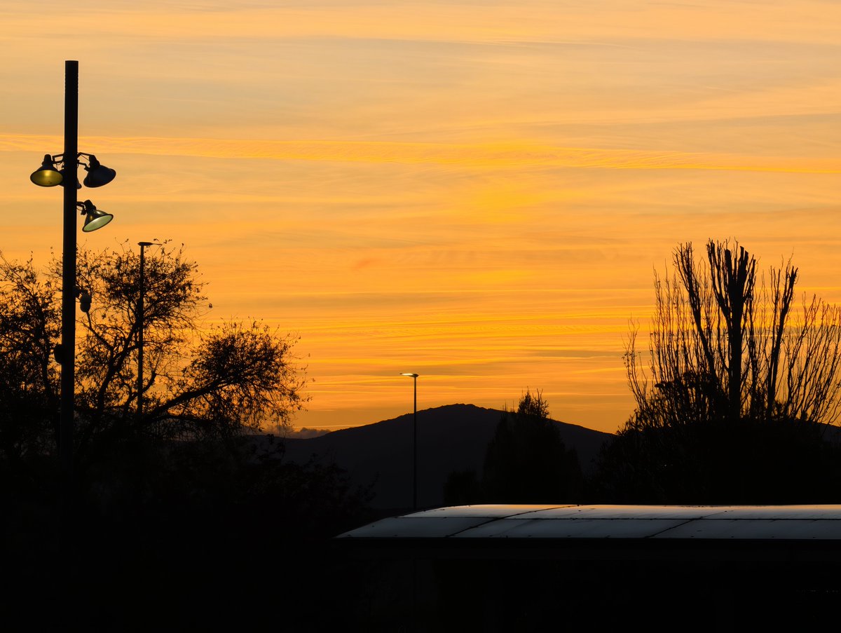 Jose Morales Ros tweet media