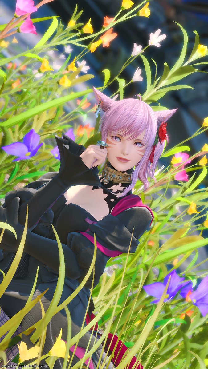 おはようございます。

水曜日！
今日も無理し過ぎないようほどほどに頑張りましょう～

#FF14 #おはミコ