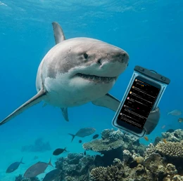 The Kreachur tweet media