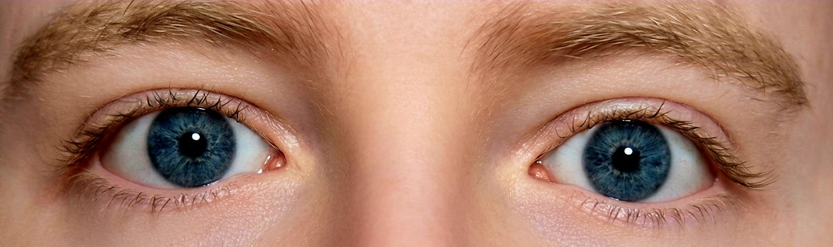 Lupa Gray ENVTUBER | PRE DEBUT | TWITCH AFFILIATE tweet media