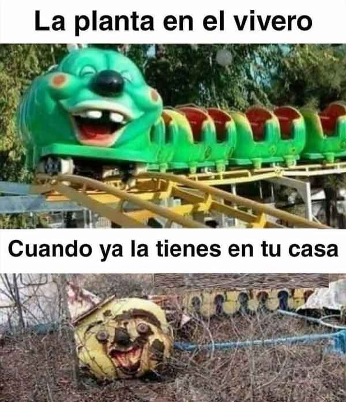 Así varios.