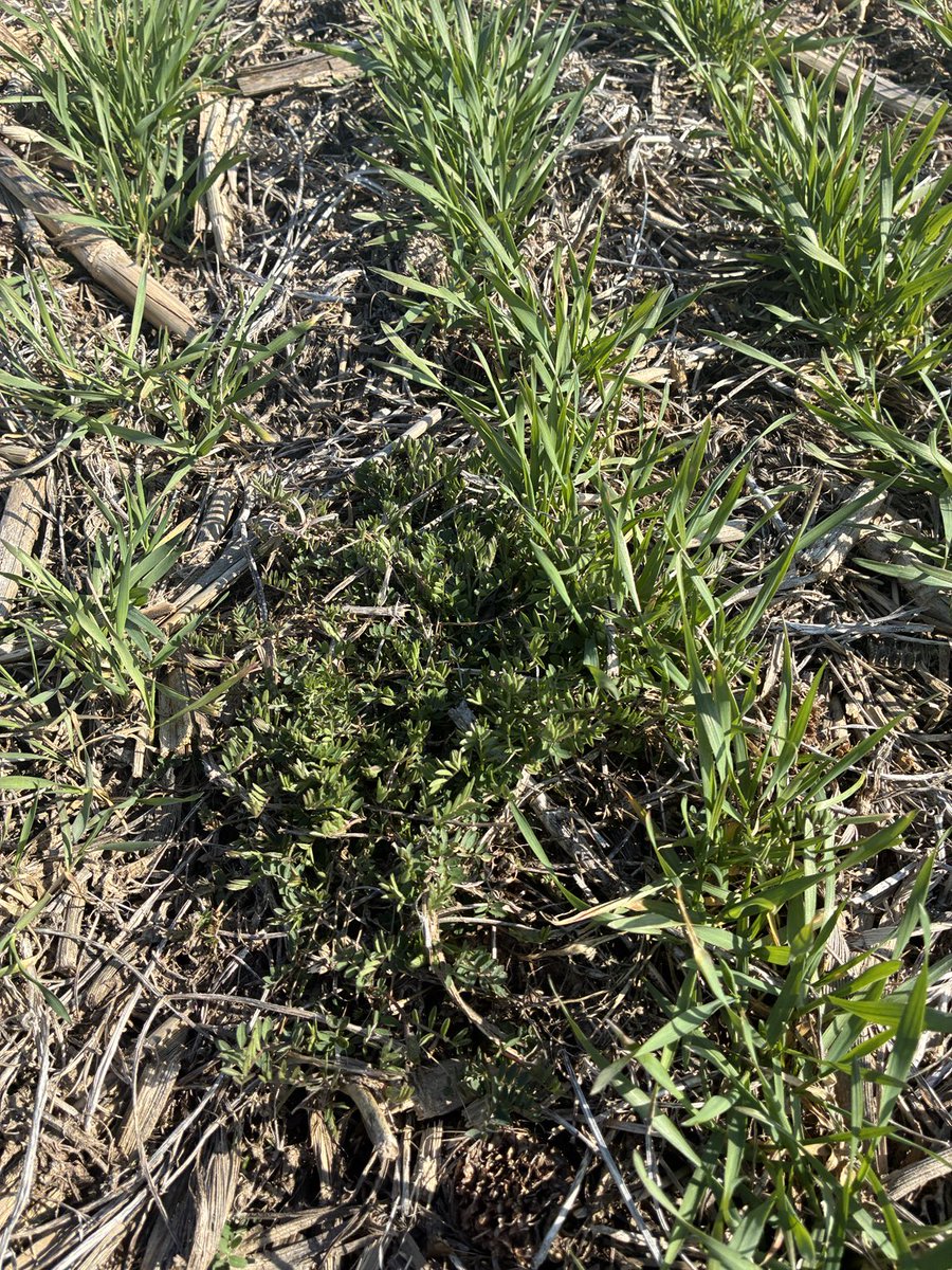 Blake Vince tweet media