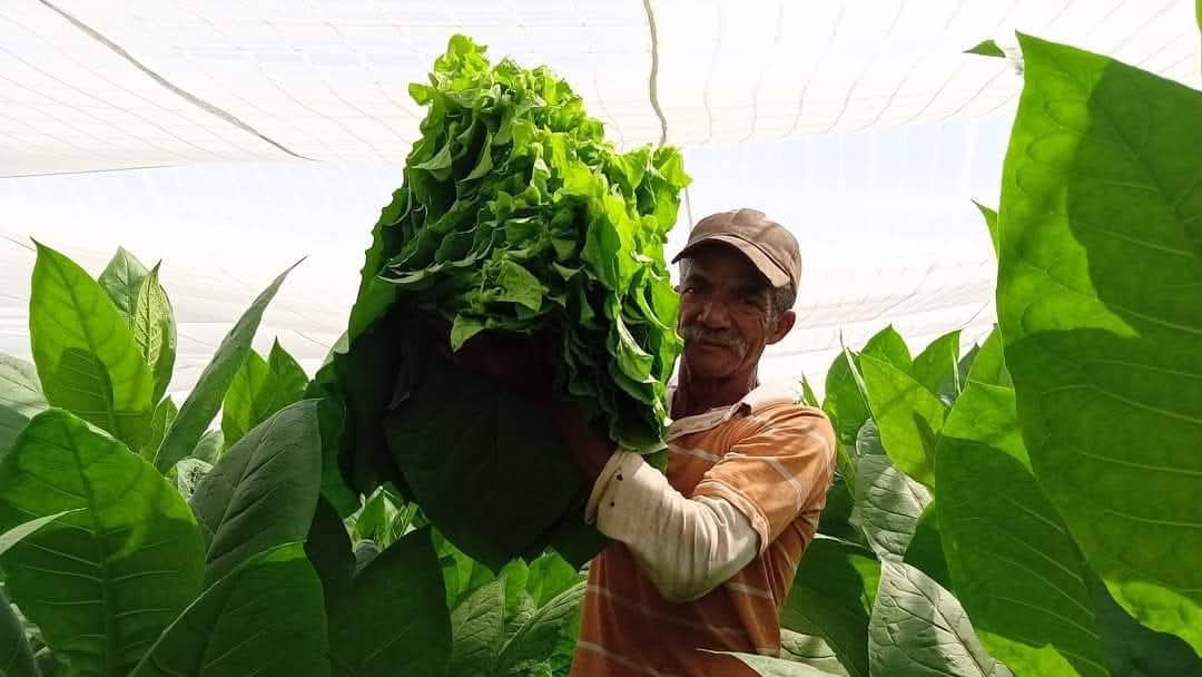 Yamilé Ramos Cordero tweet media