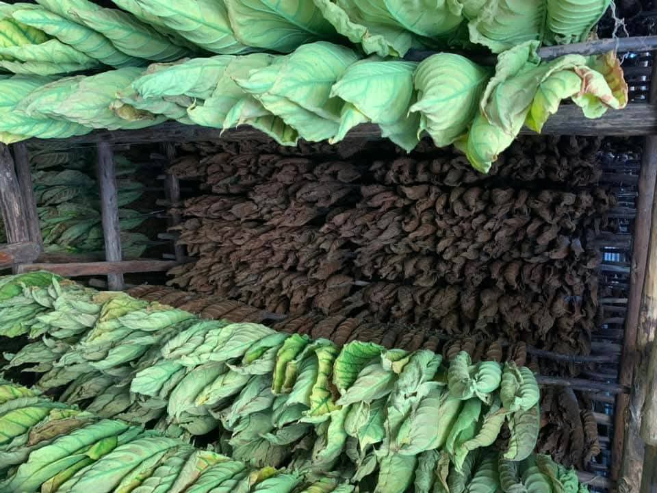 Yamilé Ramos Cordero tweet media