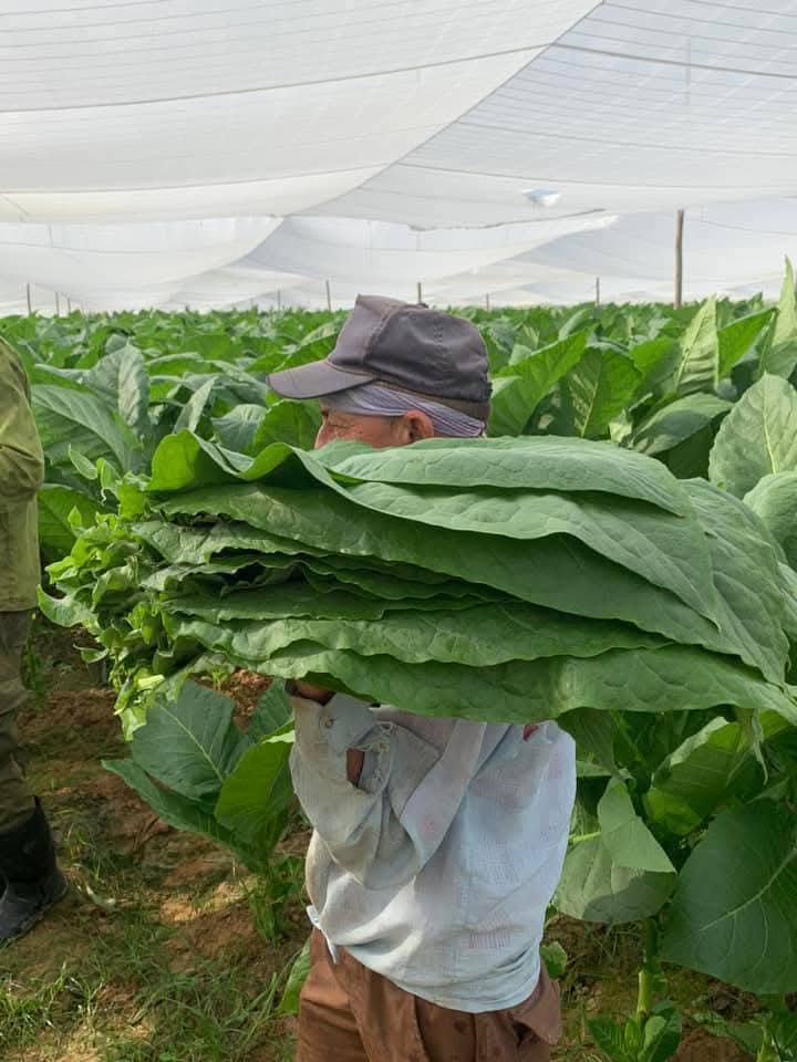 Yamilé Ramos Cordero tweet media