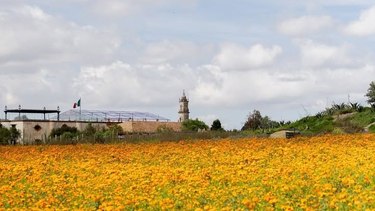 OCaipiraSerrano tweet media