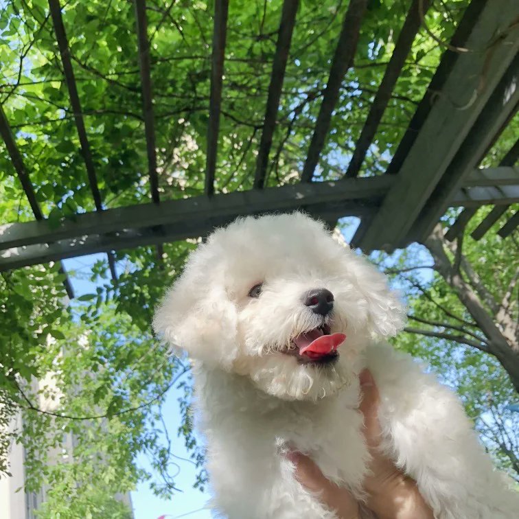 Macnesia tweet media