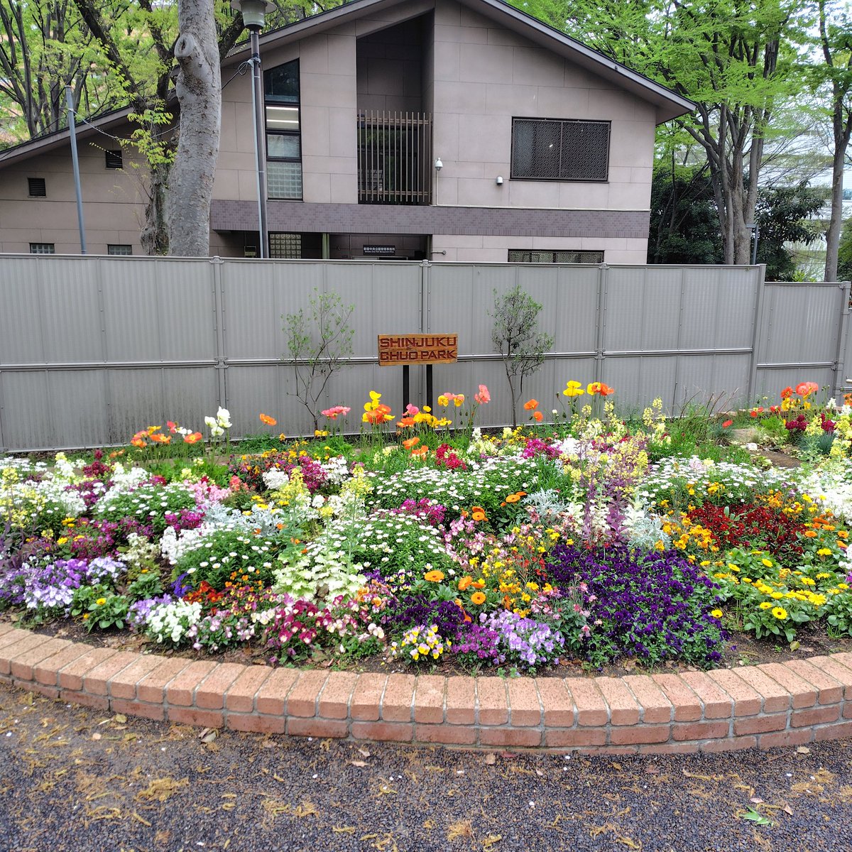 吉住健一(新宿区長) tweet media