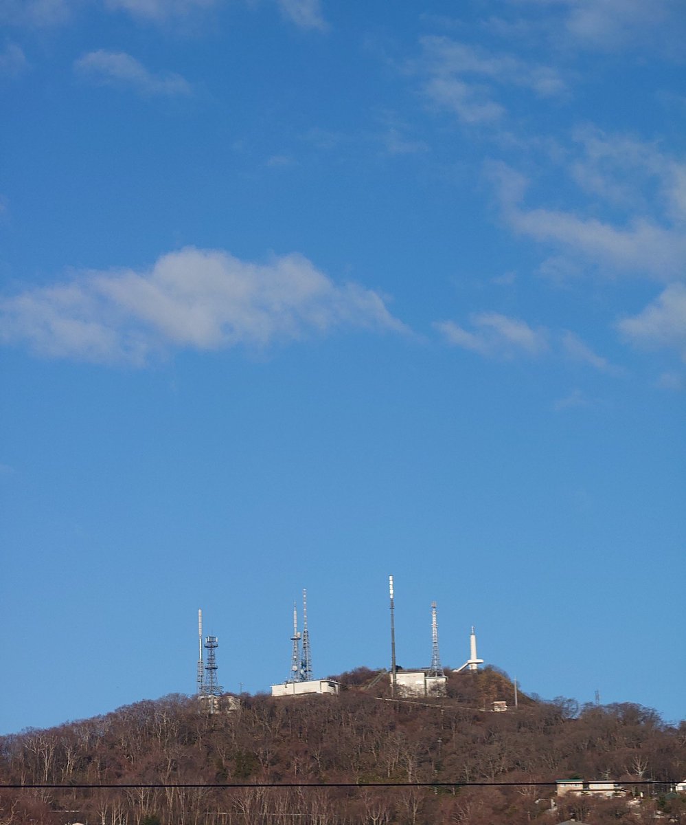 うえじ. tweet media