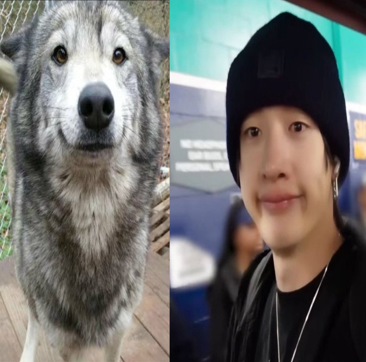 denise 𝜗𝜚⋆₊˚ tweet media