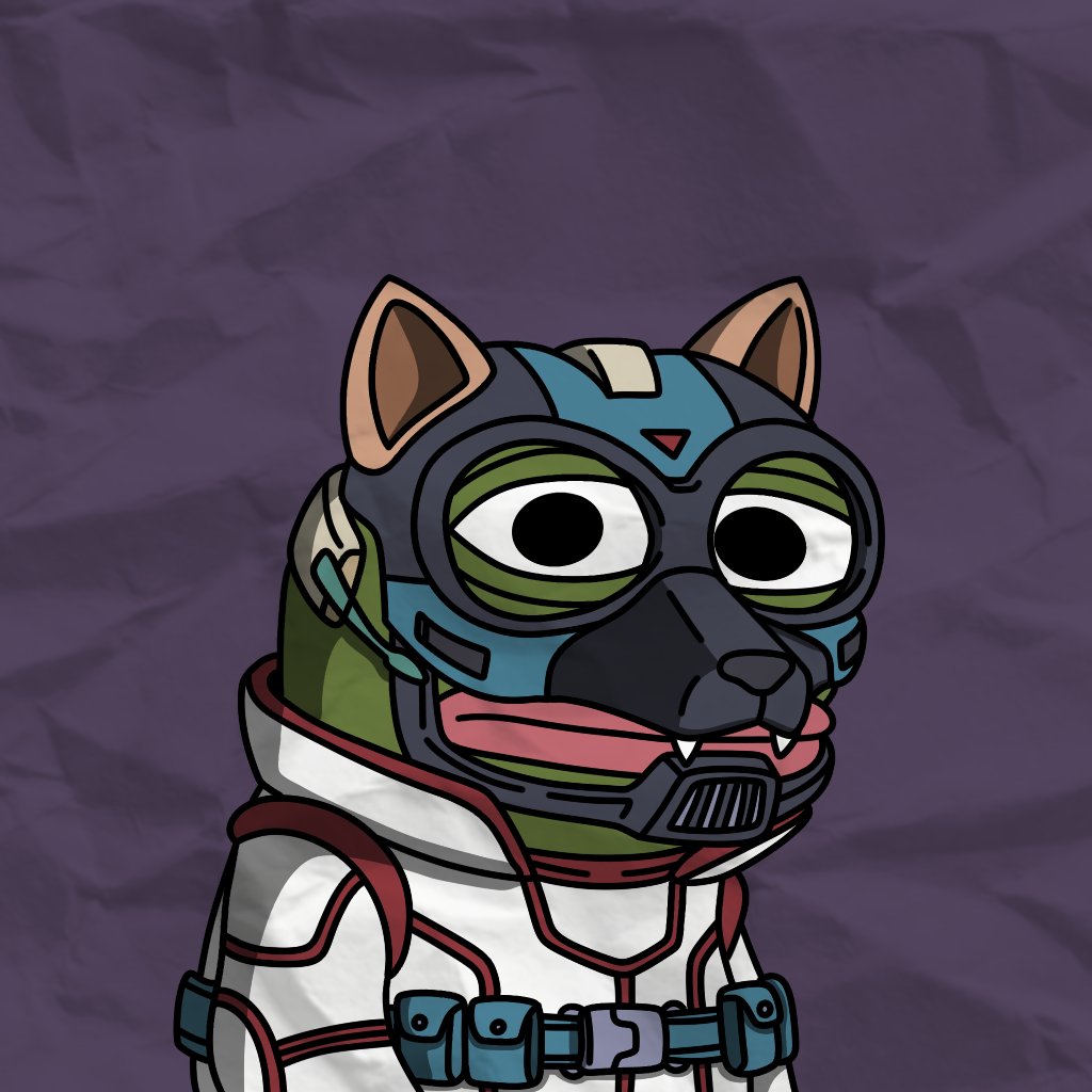 Grace.✨ tweet media