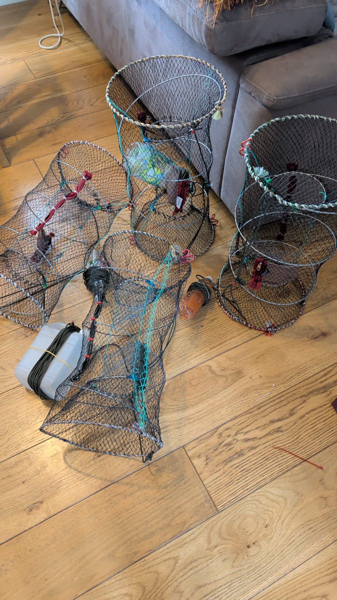 de Heyn Woeste C. tweet media