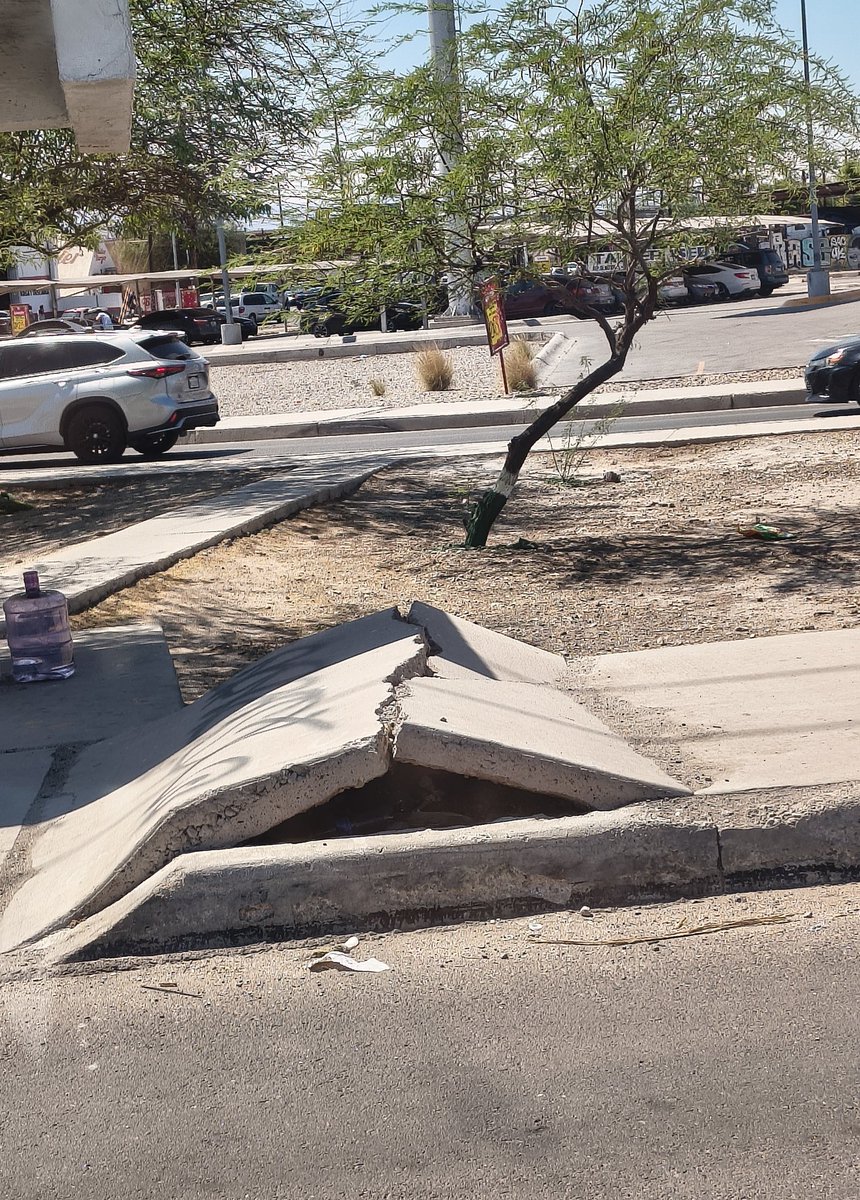 Cool Bread 🌆 tweet media