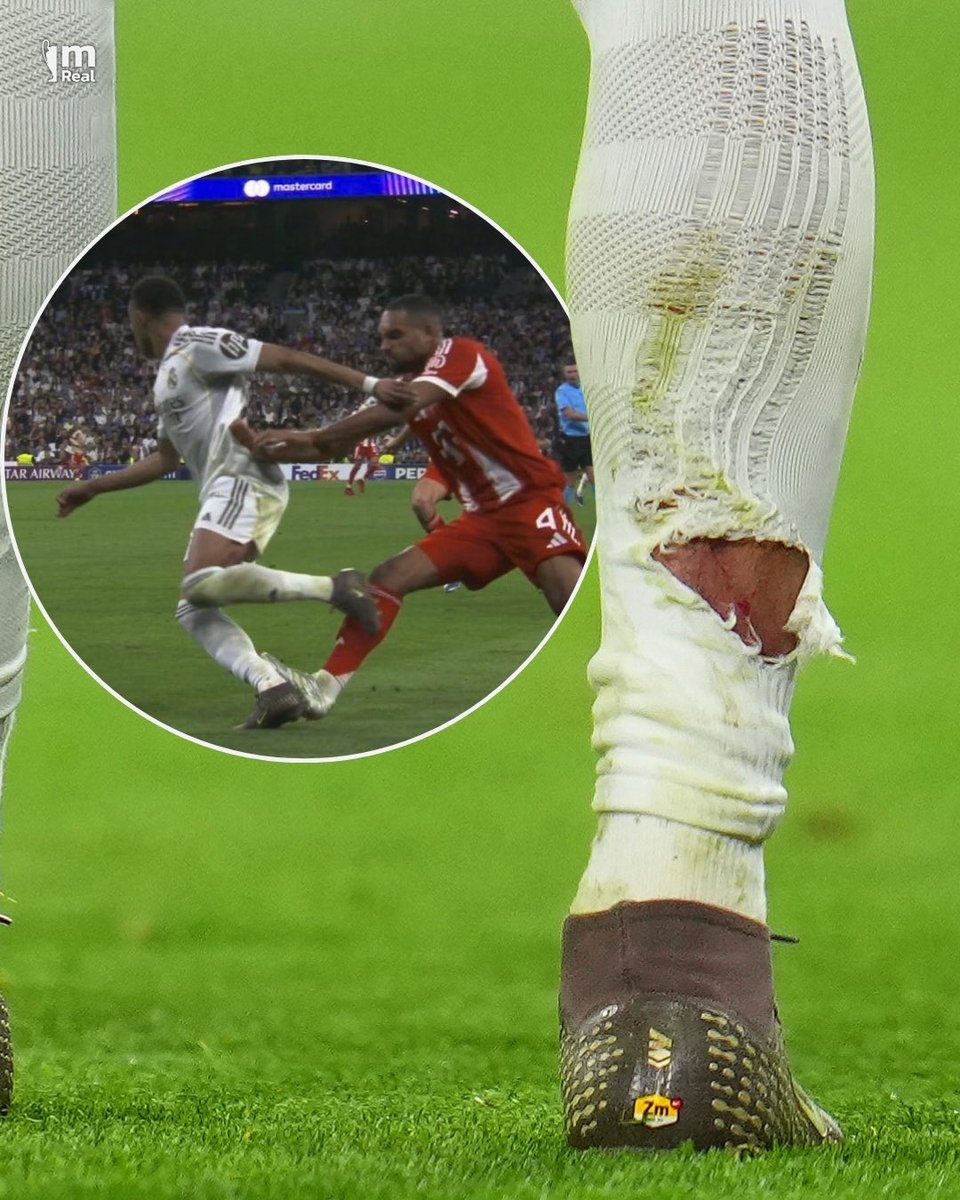 محمد عبد الكريم tweet media