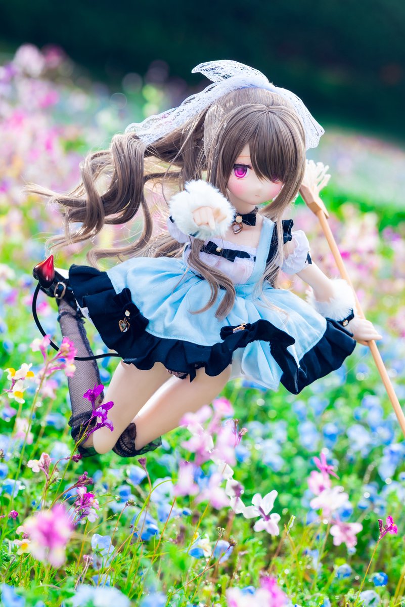 🍚しょー吉🍚 tweet media