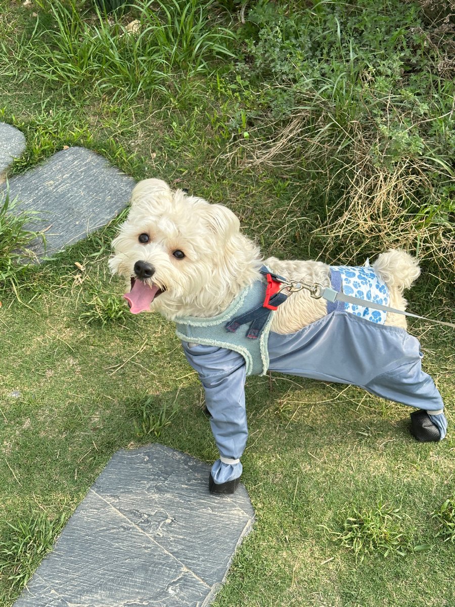 Kelly Middleton tweet media