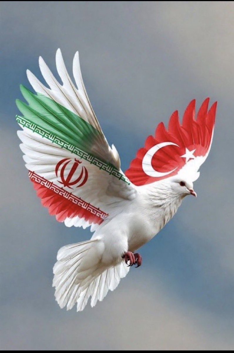 Filiz🦋🎼💙🎀🦞𐰯𐰃𐰠𐰔 tweet media