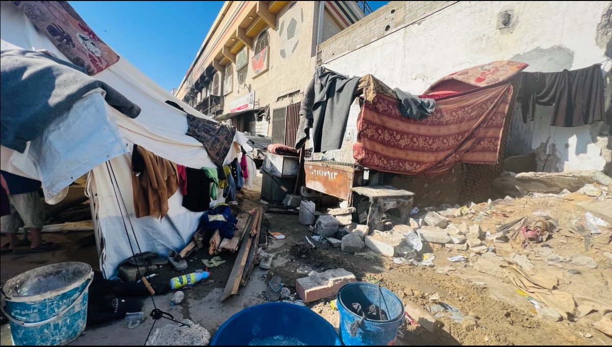 NAGHAM🇵🇸✌🏻 tweet media