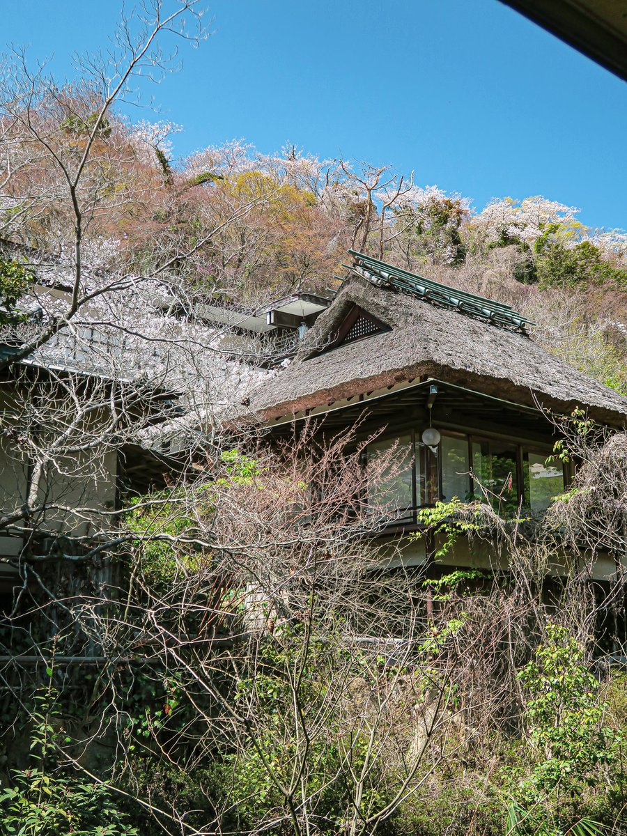 春霞に眠る茅葺きの庵